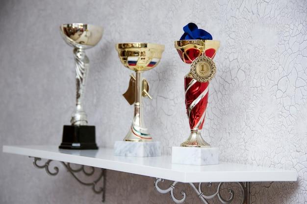 How much does the winner of the World Bowls get? 