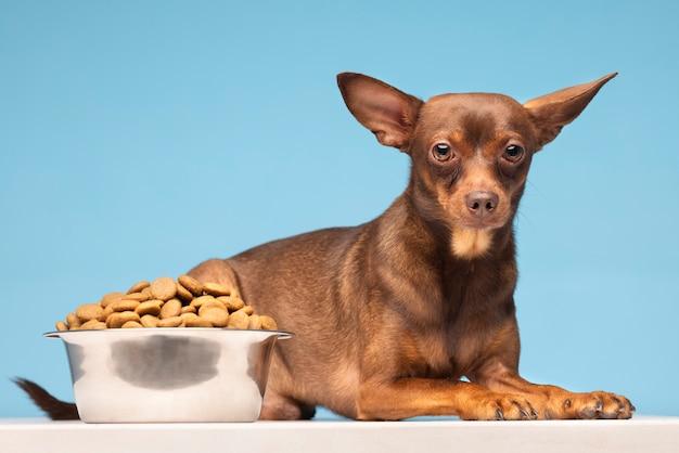 How much dog food should a 3 month old puppy eat? 