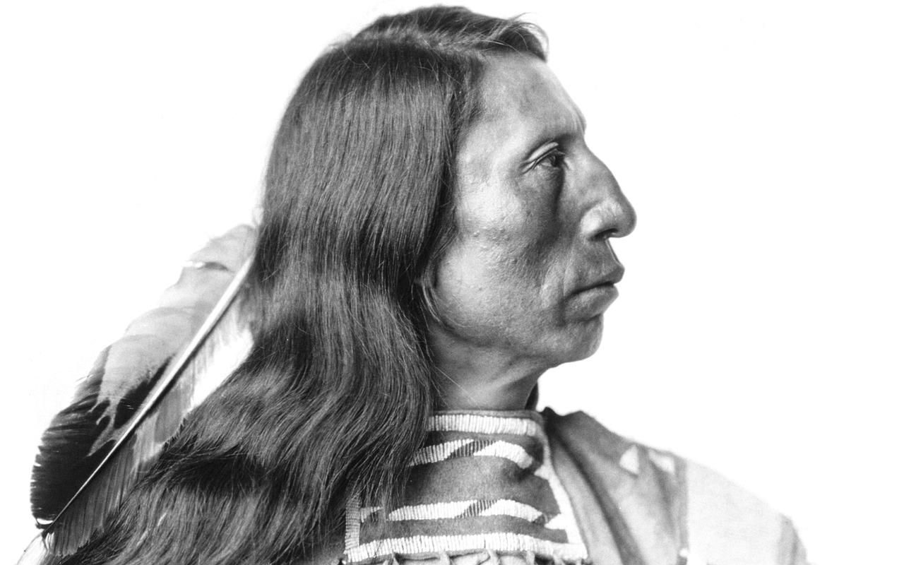 How much is 1/16th Native American? 