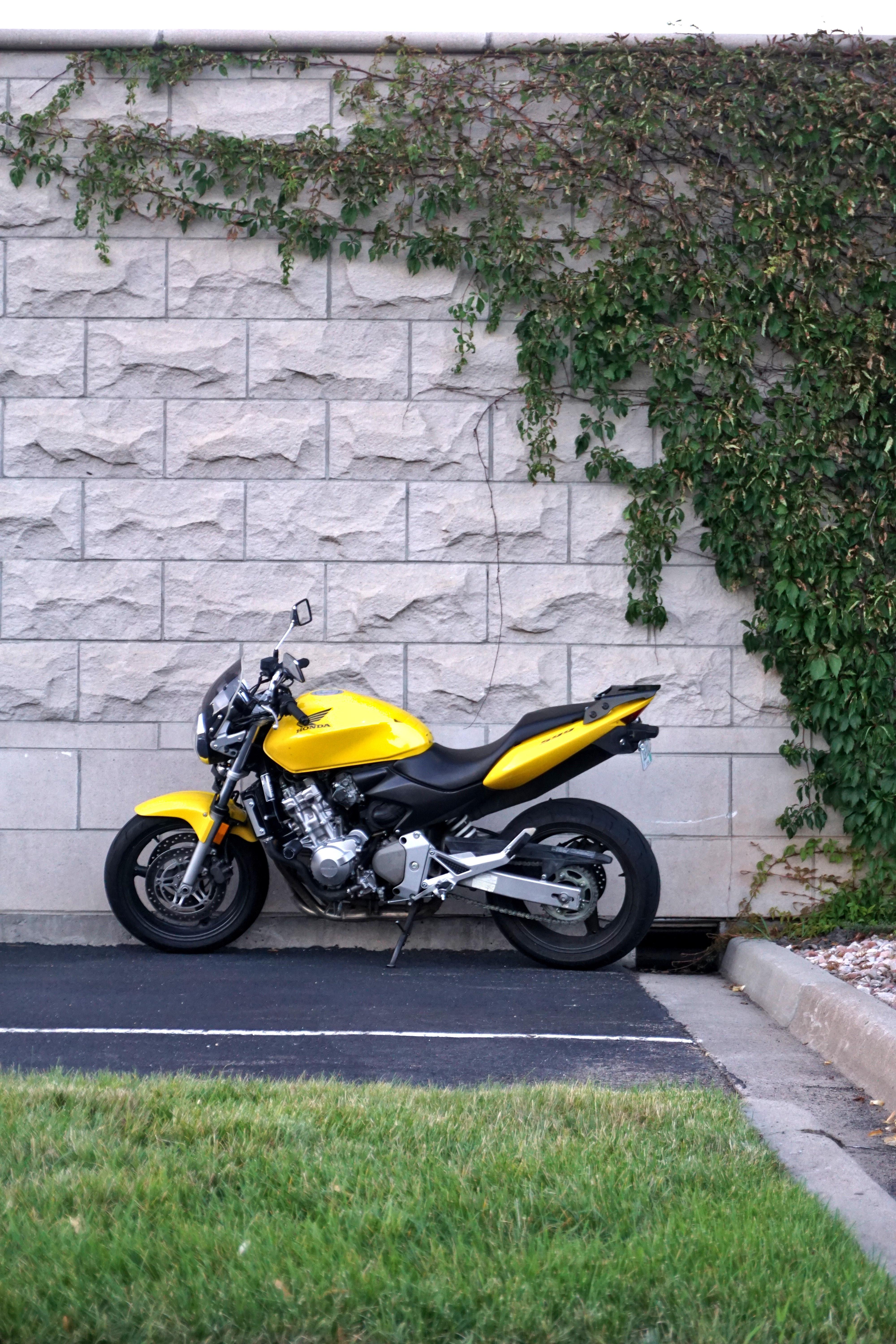 How much is a 2003 Honda Shadow worth? 