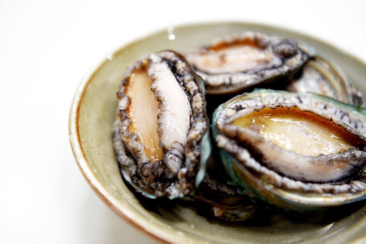 How much is an abalone license in Australia? 