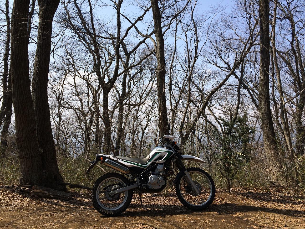 How much transmission oil does a 2015 CRF450R take? 