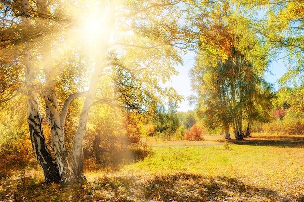 How would you describe a beautiful sunny day? 