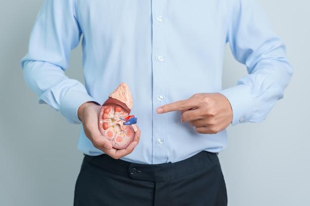What lab values should improve after dialysis? 