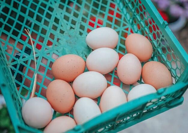 Is egg a pure substance? 