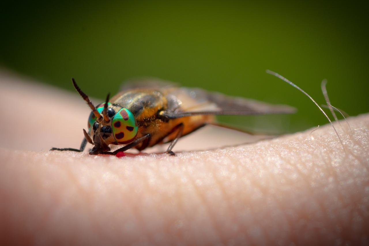 Is it OK to fly after giving blood? 