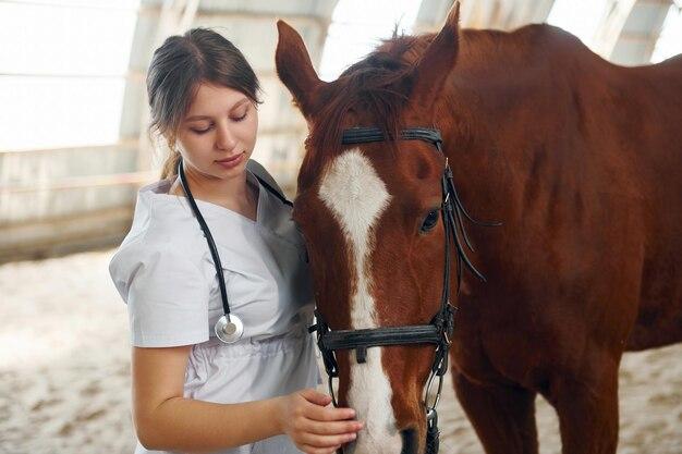 Is it expensive to loan a horse? 
