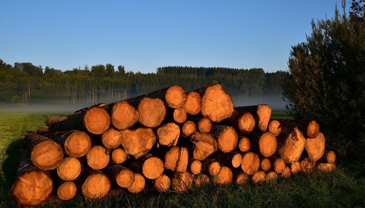 Is Lumber renewable or non-renewable? 