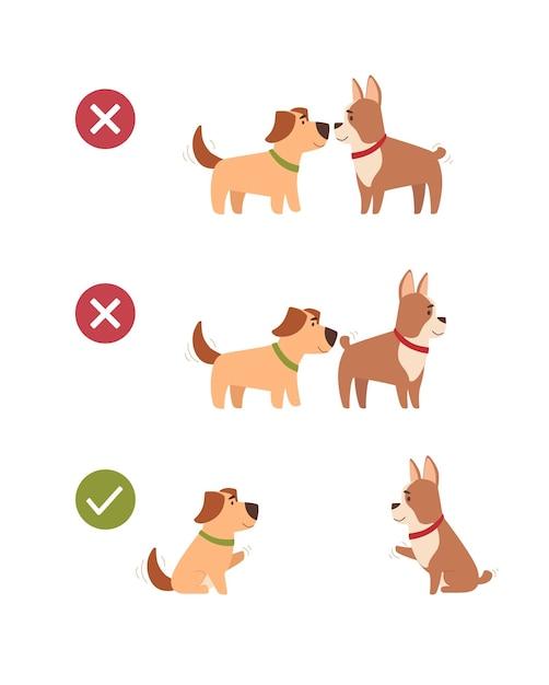 Is my puppy safe after 2nd vaccination? 
