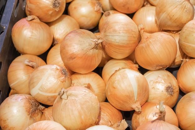 Is onion living or non living? 