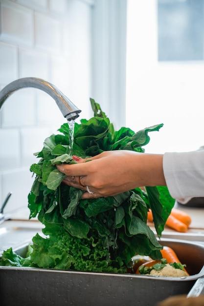 Is spinach genetically modified? 