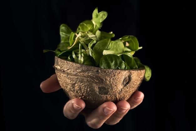 Is spinach genetically modified? 