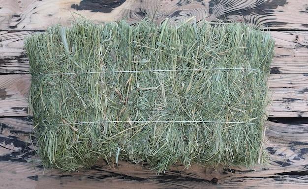 Is timothy or orchard grass better for horses? 