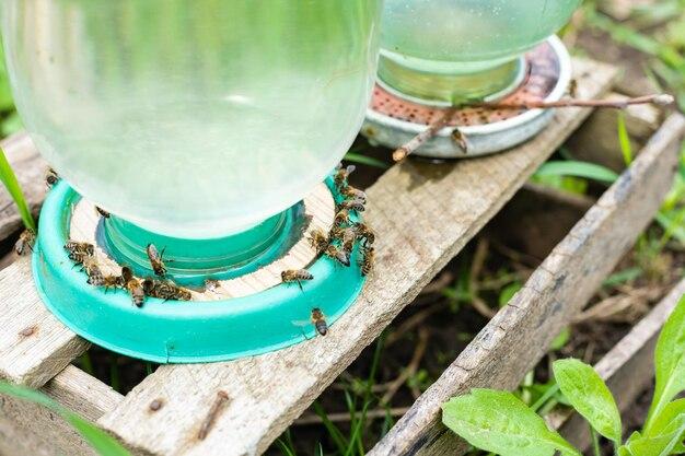 Is vinegar harmful to bees? 