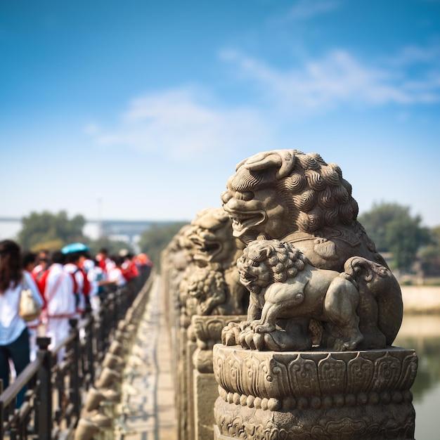 What goods did Marco Polo bring back from China? 