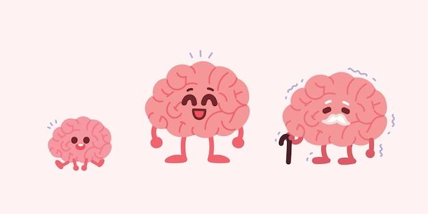 What is the difference between mental age and chronological age? 
