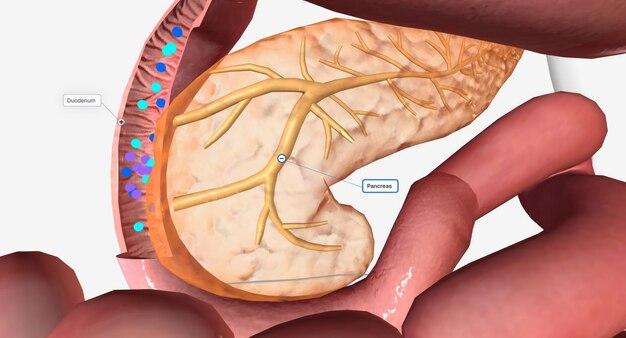 Which of the following is contained in pancreatic juice? 
