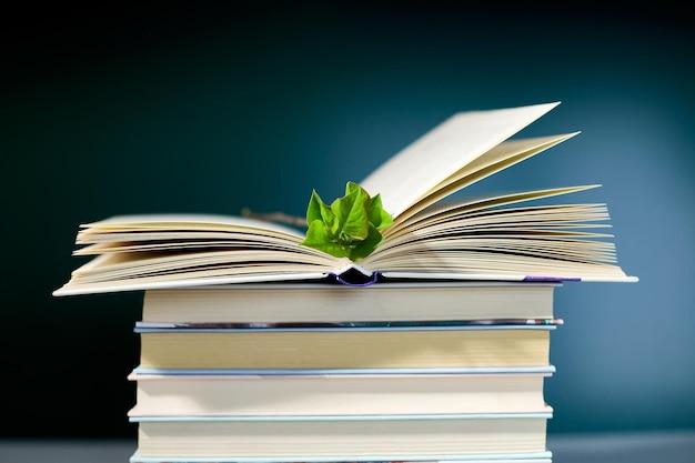 What is a political analysis paper? 