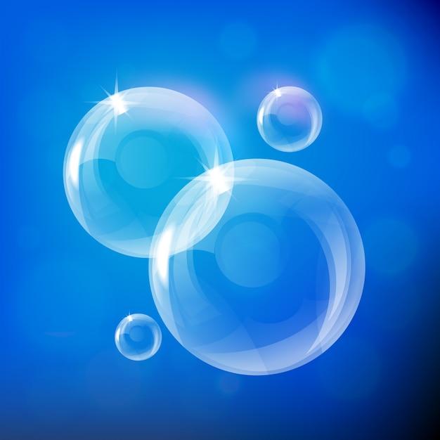 What is the similarities of pure social science and applied social science? 