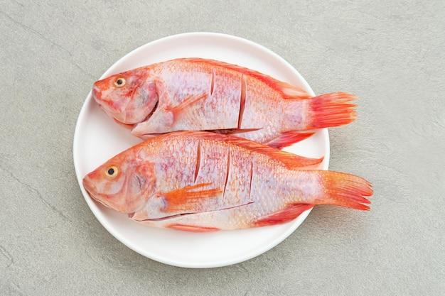 Is red snapper a fresh water fish? 