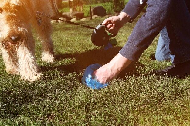 What can you use to dissolve dog poop in the yard? 