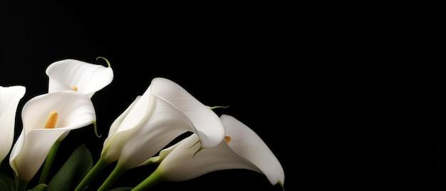 Do family members send sympathy cards to each other? 