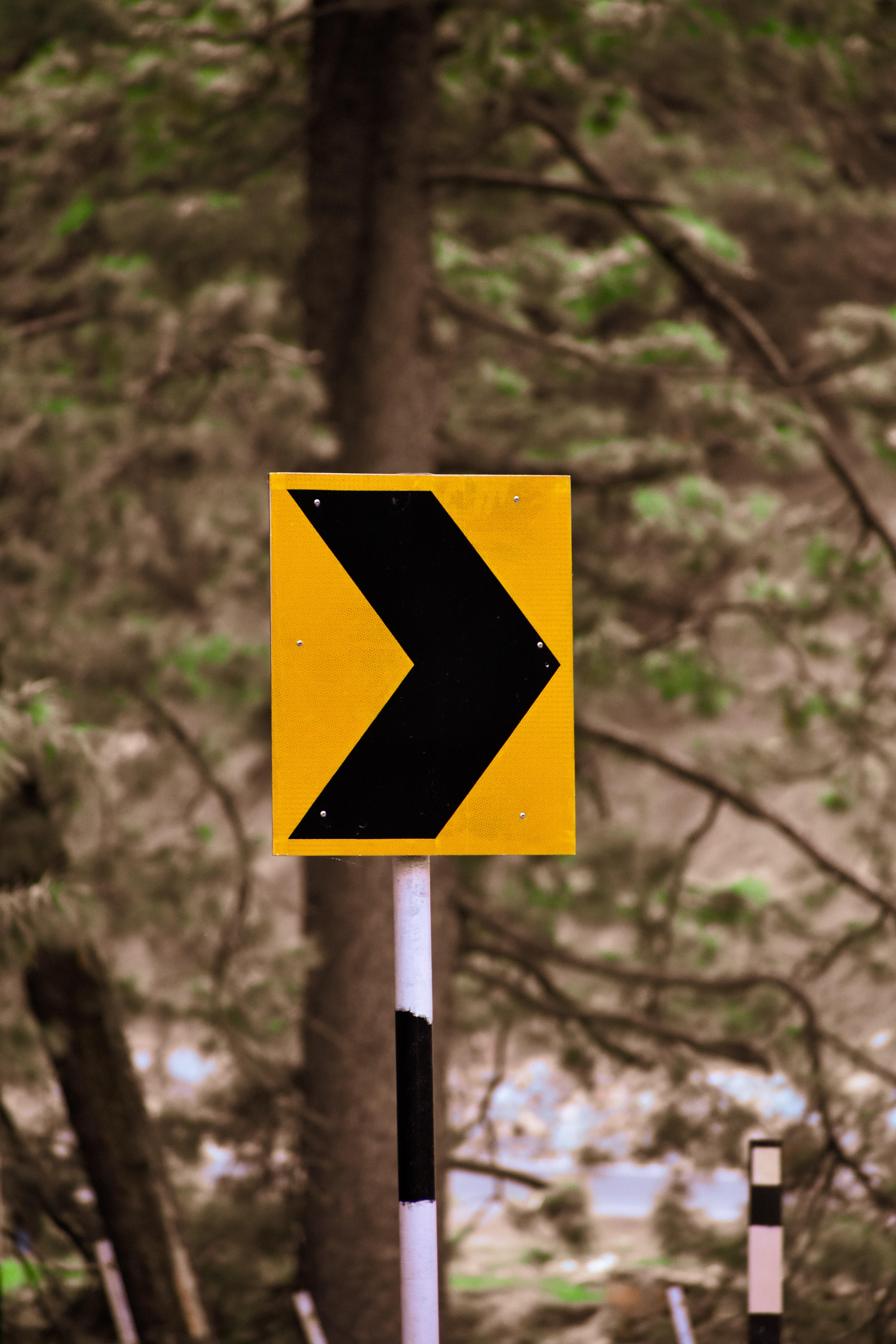 What type of sign warns you that you should slow down for a sharp rise in the roadway? 