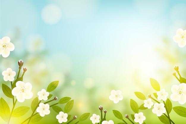 Why Spring is the best season essay? 