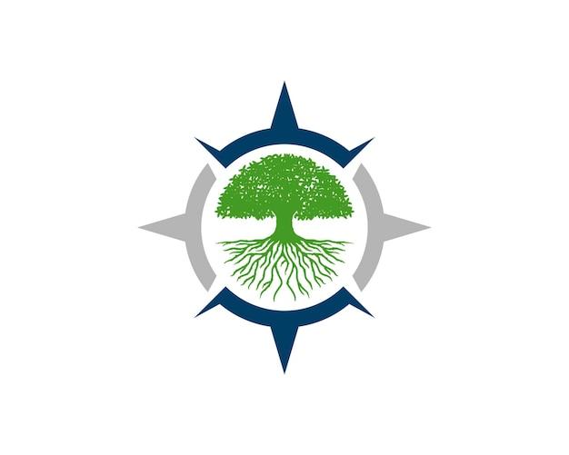 What are the 4 roots of US government? 