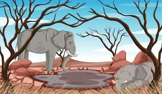 What are the 5 factors that affect biodiversity? 
