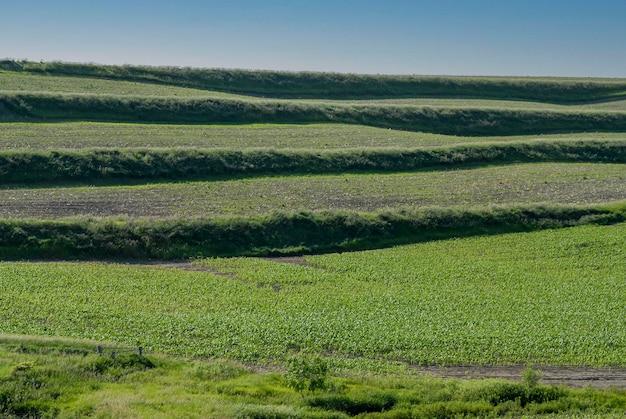 In which state terrace farming is practiced? 