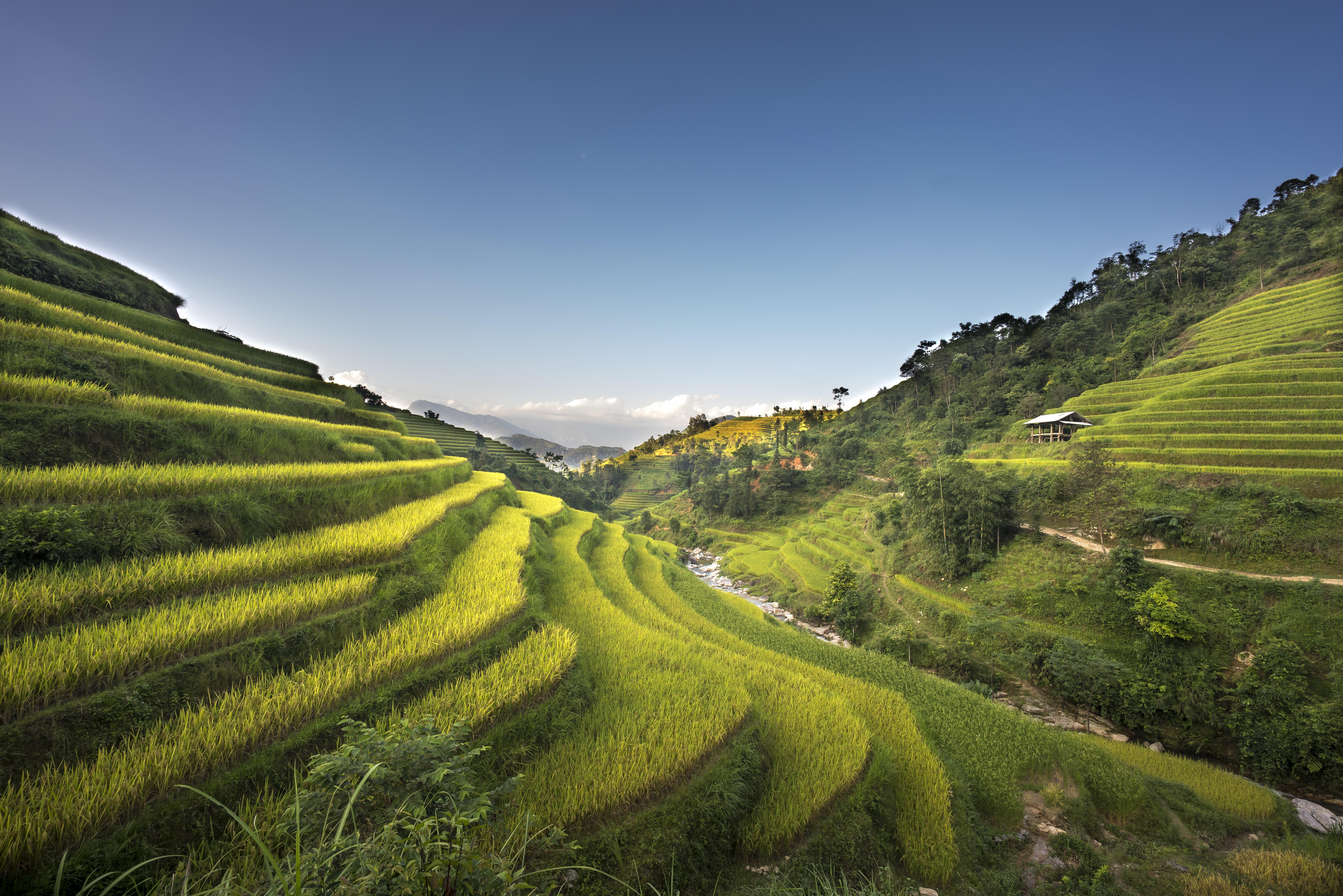 In which state terrace farming is practiced? 