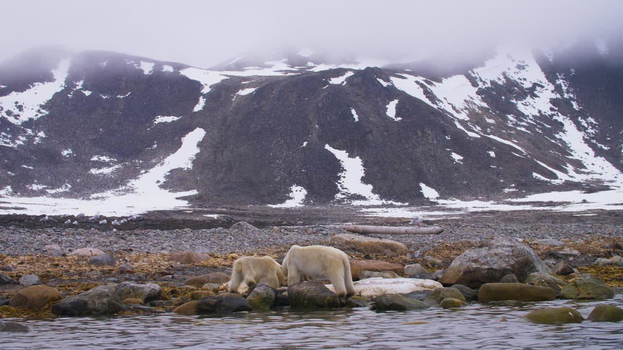 Which biome has the largest temperature range? 