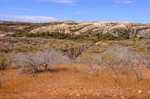 Which biome has the largest temperature range? 