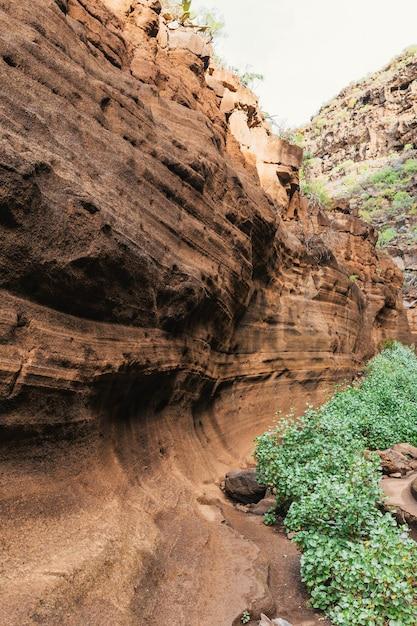What are the landforms in Southwest Asia? 