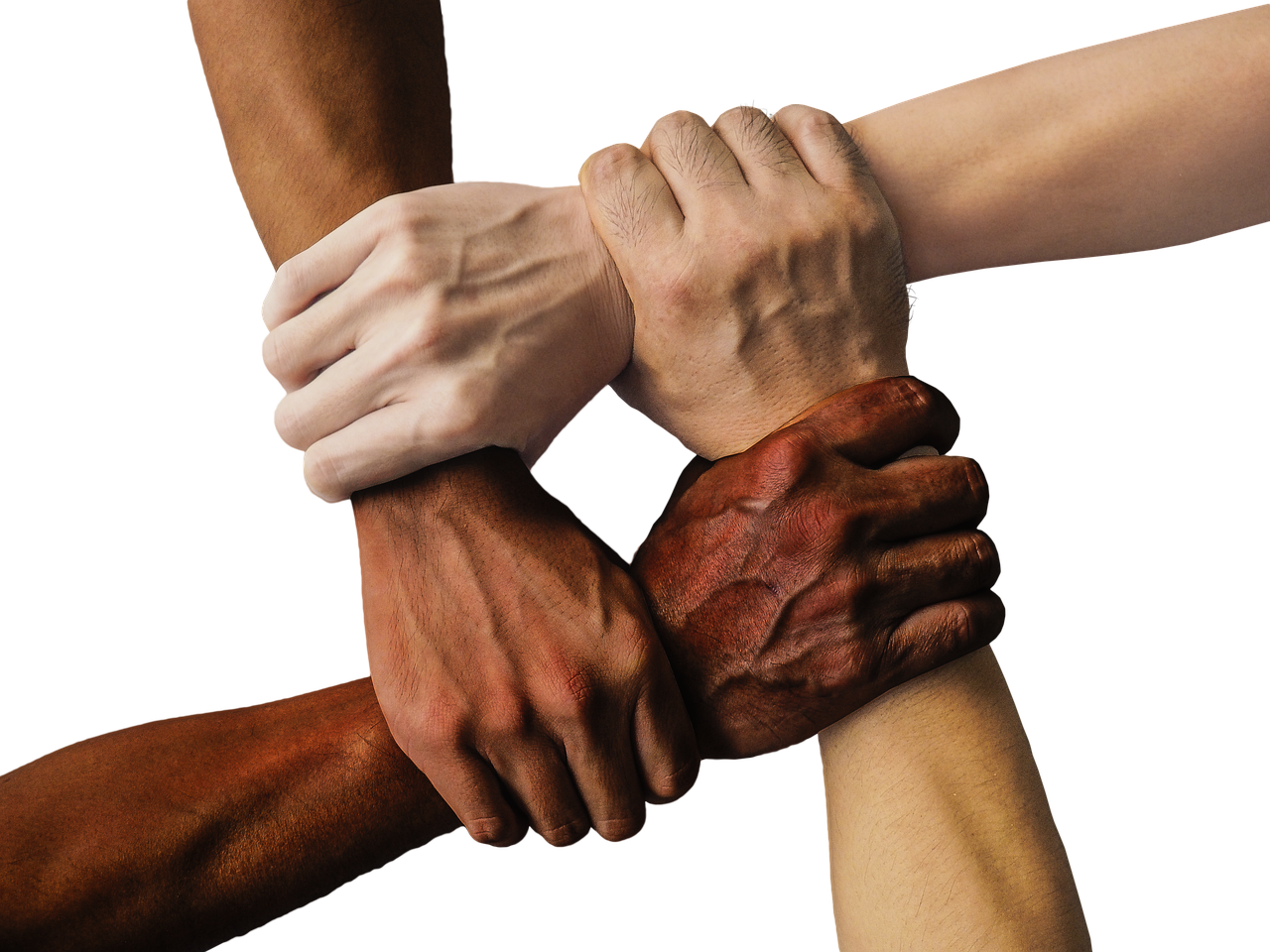 What are the characteristics of a progressive? 