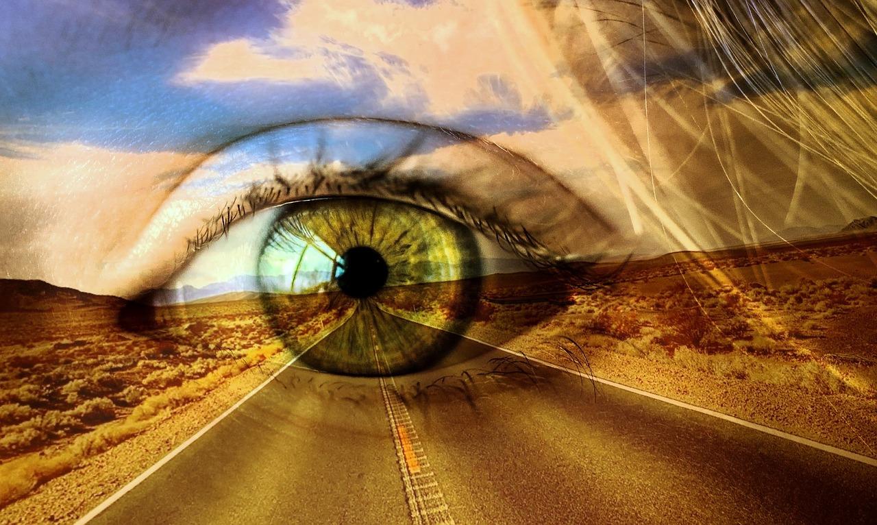 What is the conclusion of the road not taken? 