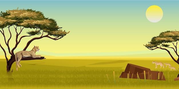 Is a caribou a herbivore carnivore or omnivore? 