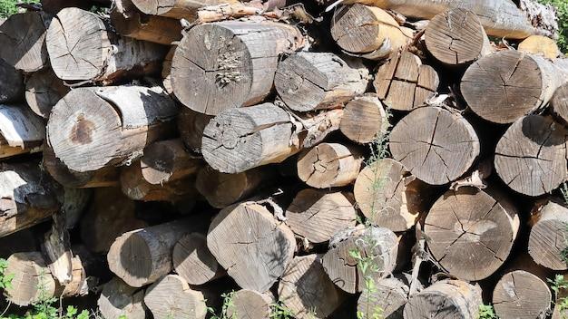 What are the disadvantages of birch wood? 