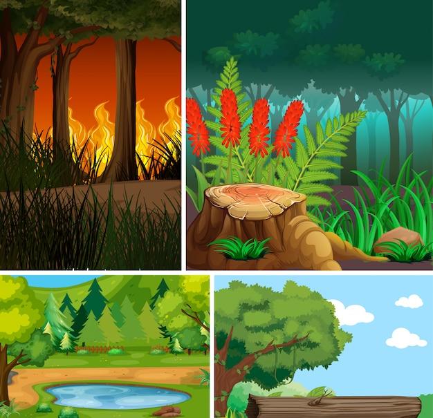 What is the difference between the desert and the rainforest? 