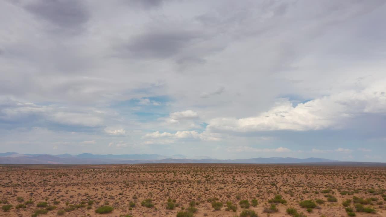 What is the difference between the desert and the rainforest? 