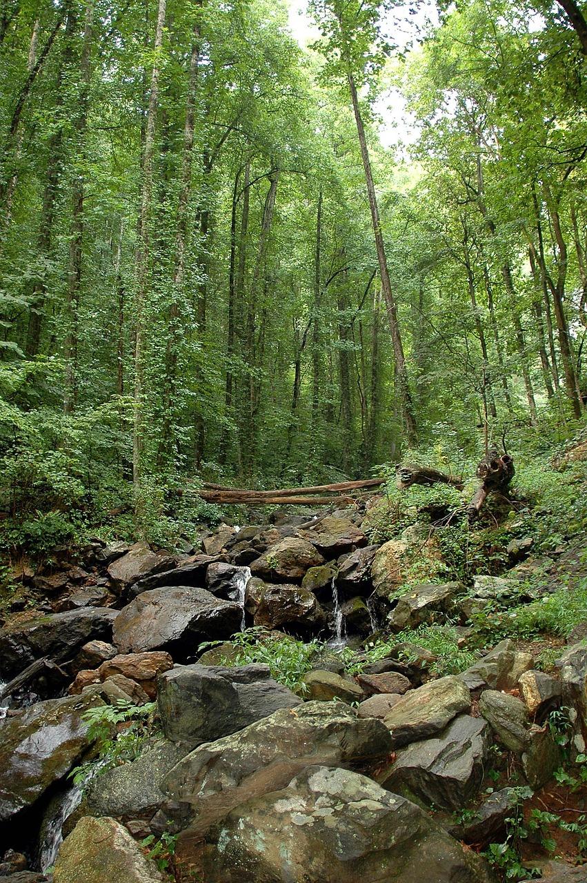 What did the Eastern woodlands use? 