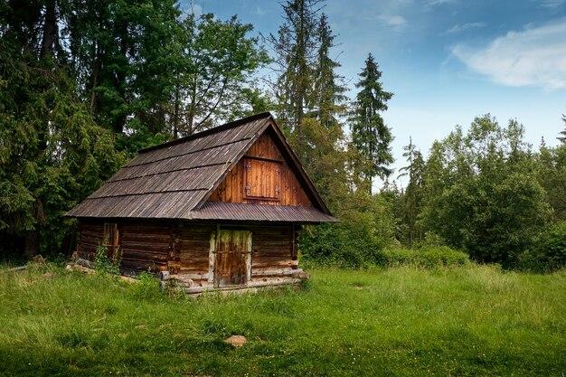 What was the Eastern woodlands shelter? 