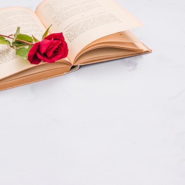 What is the Book of Eli based on? 