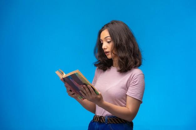 What is expressive theory of literature? 