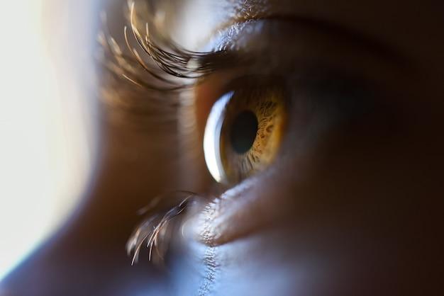 What is a good example of perception? 