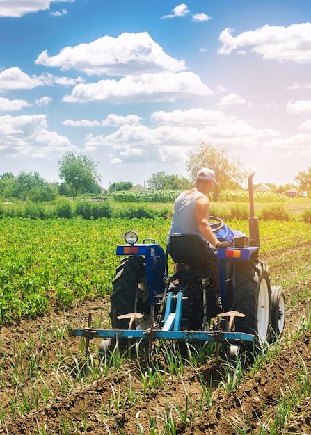 What are the importance of a farmer? 