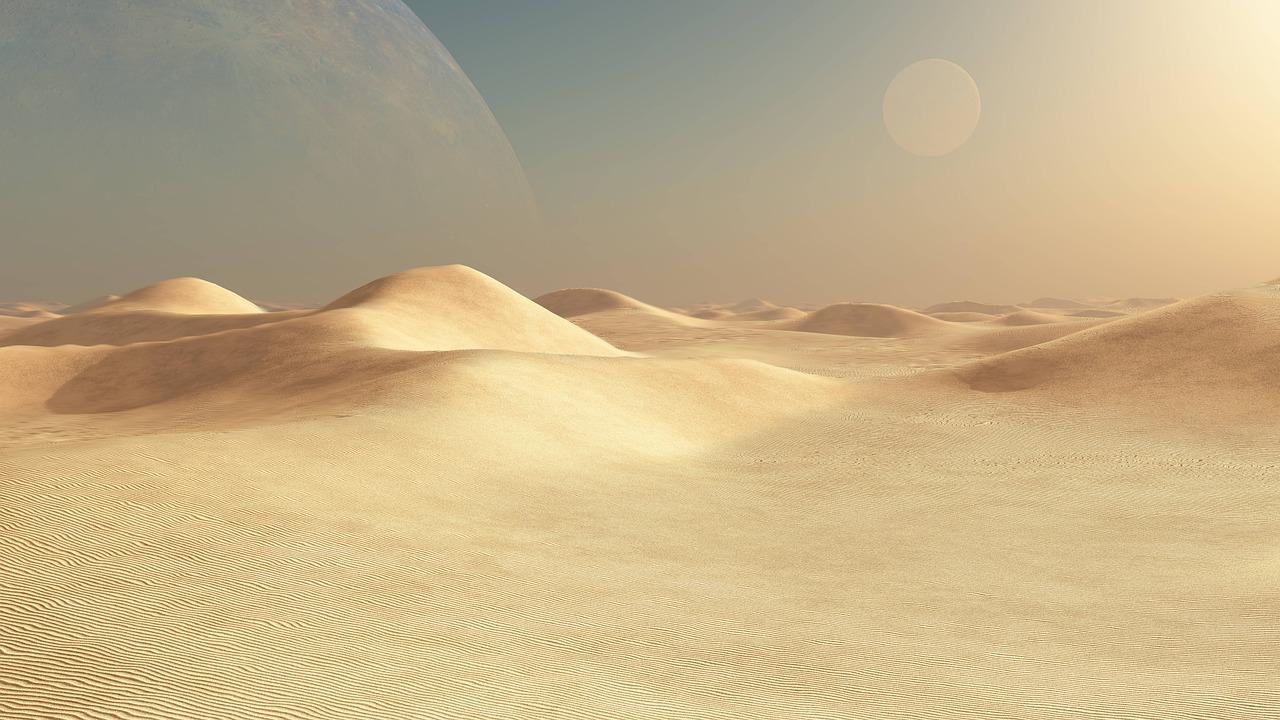 What is the importance of desert? 