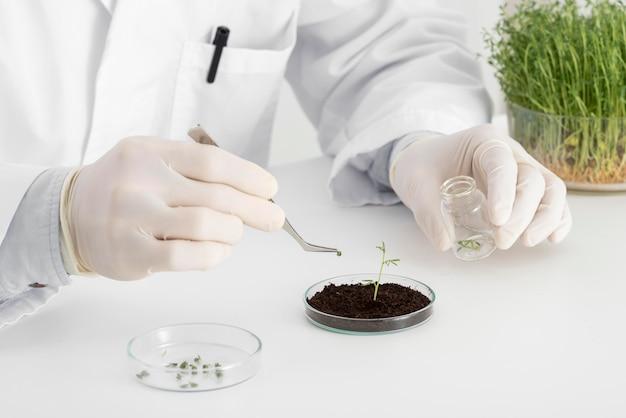 What is the importance of organic chemistry in our daily life? 