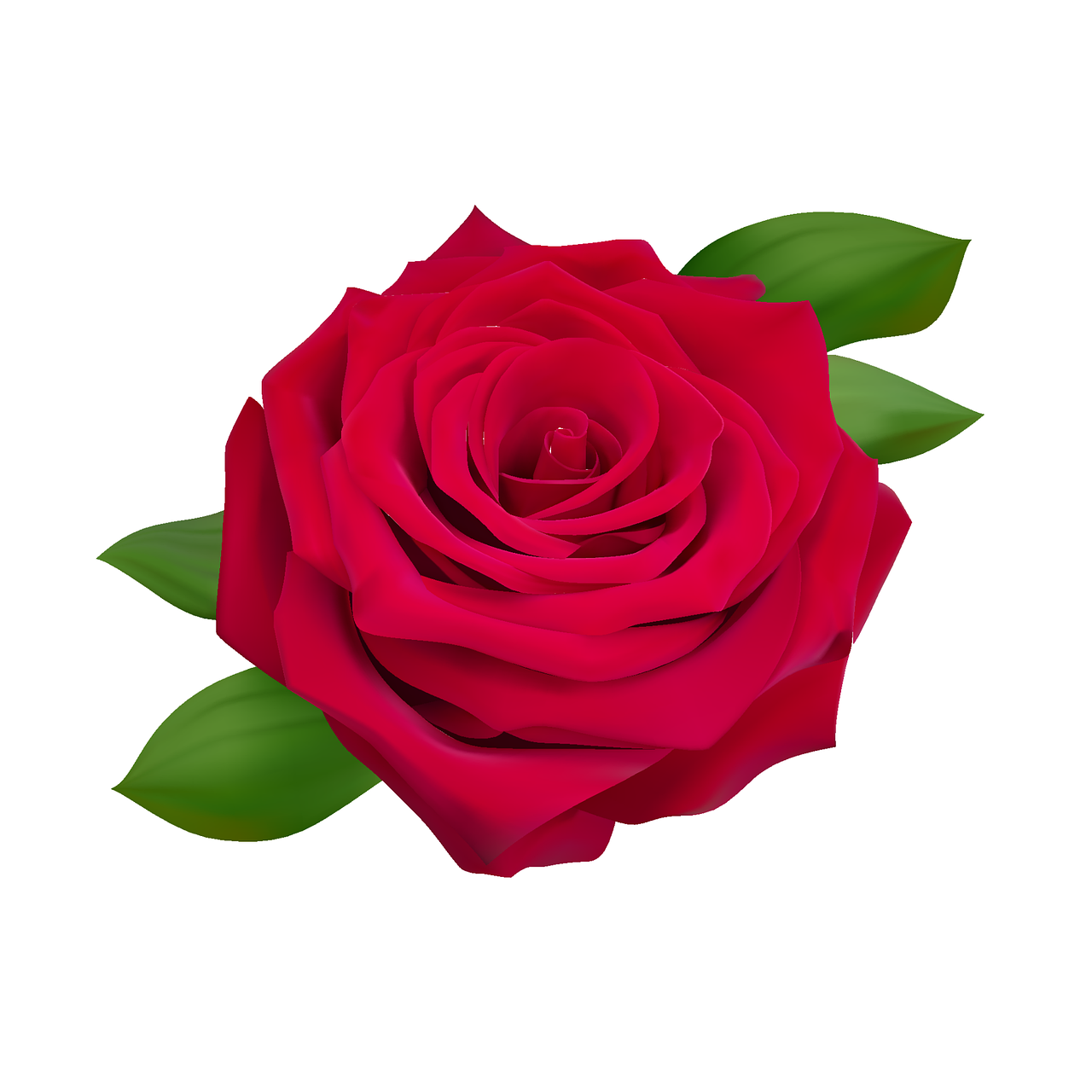 What is the importance of rose flower? 